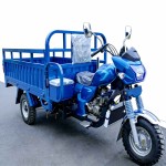 Heavy-Duty Fuel Cargo Tricycle Hot-Selling in Africa, Cross-Style Three-Wheeled Motorcycle for Export and Agricultural Use