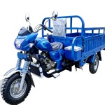 Heavy-Duty Fuel Cargo Tricycle Hot-Selling in Africa, Cross-Style Three-Wheeled Motorcycle for Export and Agricultural Use