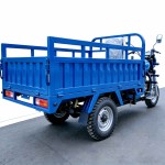 Load King Fuel-Powered Cargo Tricycle, Hot-Selling in Africa, Straddle-Type Three-Wheeler for Export, Agricultural and Goods Transport