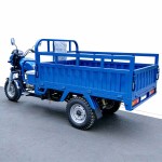 Load King Fuel-Powered Cargo Tricycle, Hot-Selling in Africa, Straddle-Type Three-Wheeler for Export, Agricultural and Goods Transport